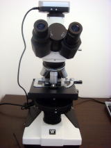 うしきデンタルクリニック位相差顕微鏡システム